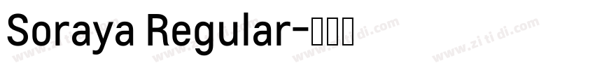 Soraya Regular字体转换